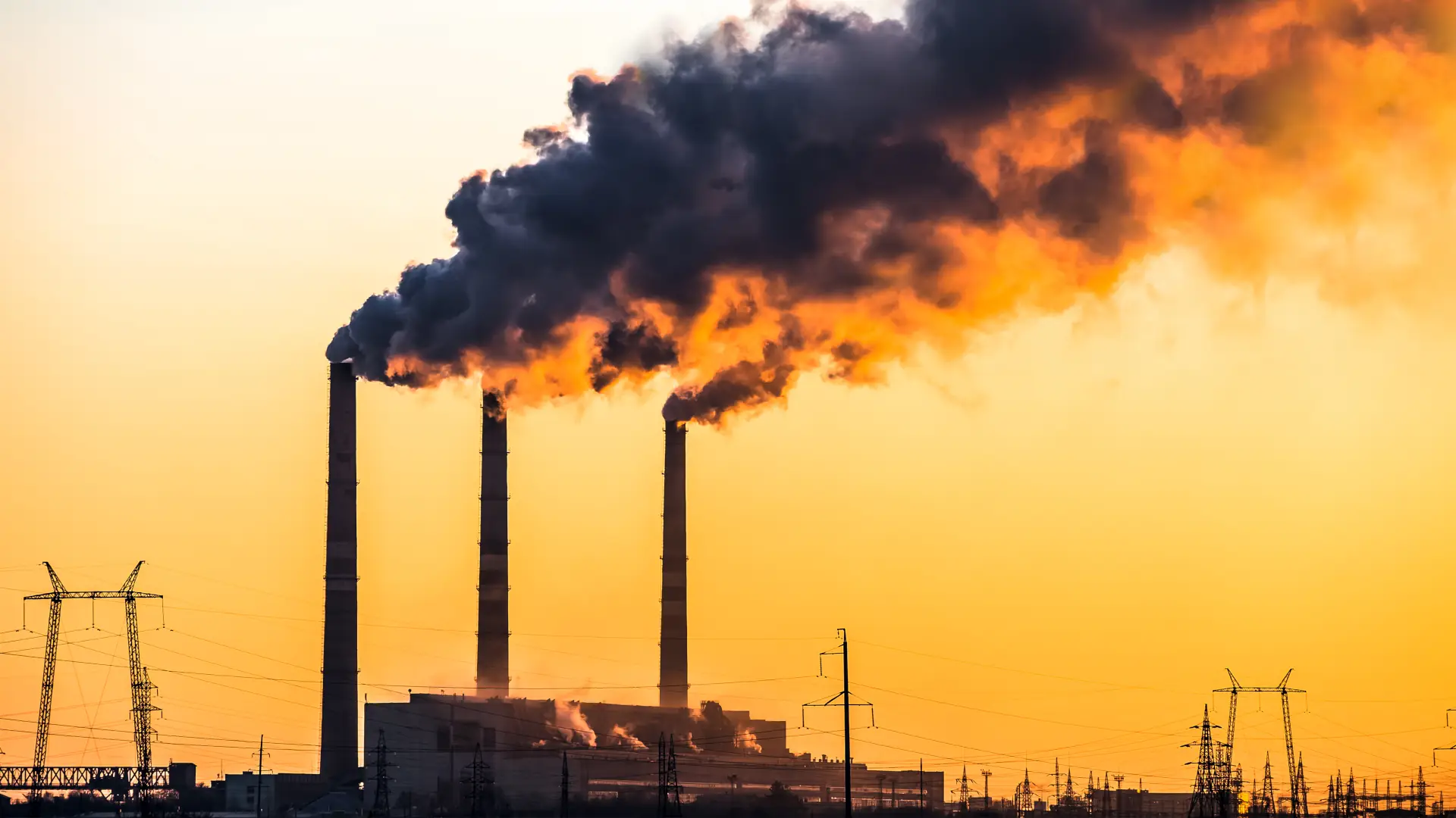 Automated Carbon Accounting with AI Data Extraction