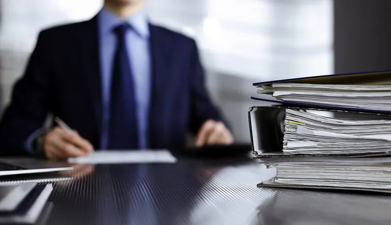 Intelligent Document Processing in Large Companies